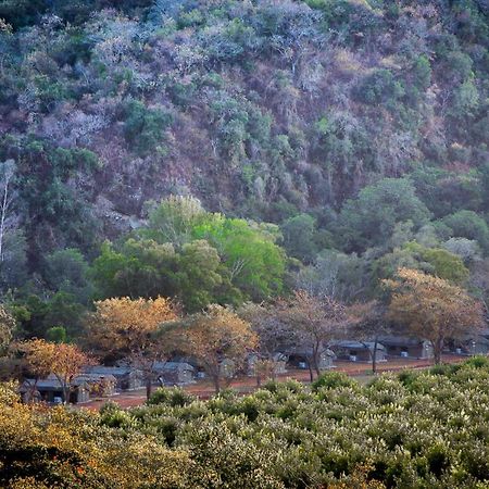 Lions Rock Rapids - Luxury Tented Camp Hazyview Eksteriør bilde