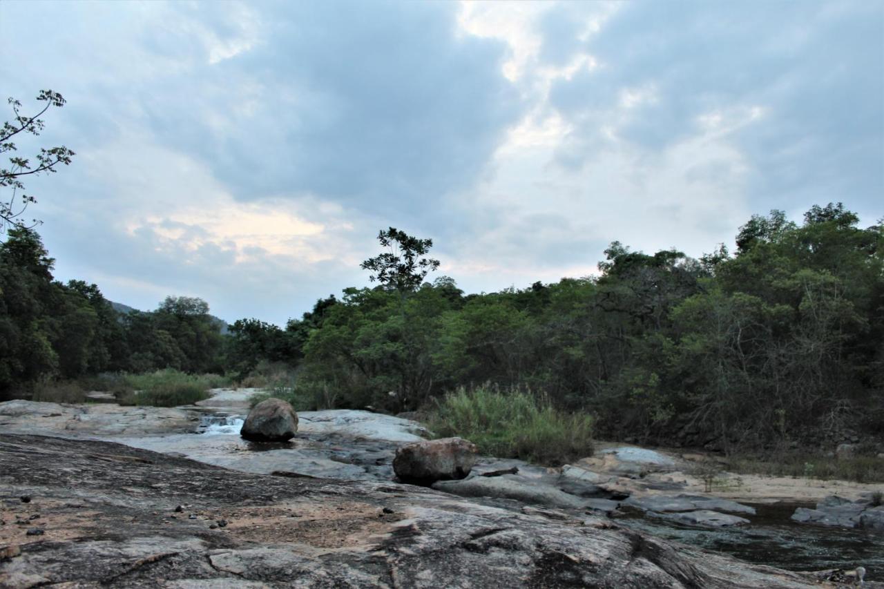 Lions Rock Rapids - Luxury Tented Camp Hazyview Eksteriør bilde