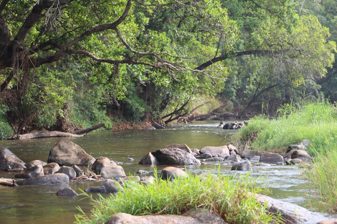 Lions Rock Rapids - Luxury Tented Camp Hazyview Eksteriør bilde