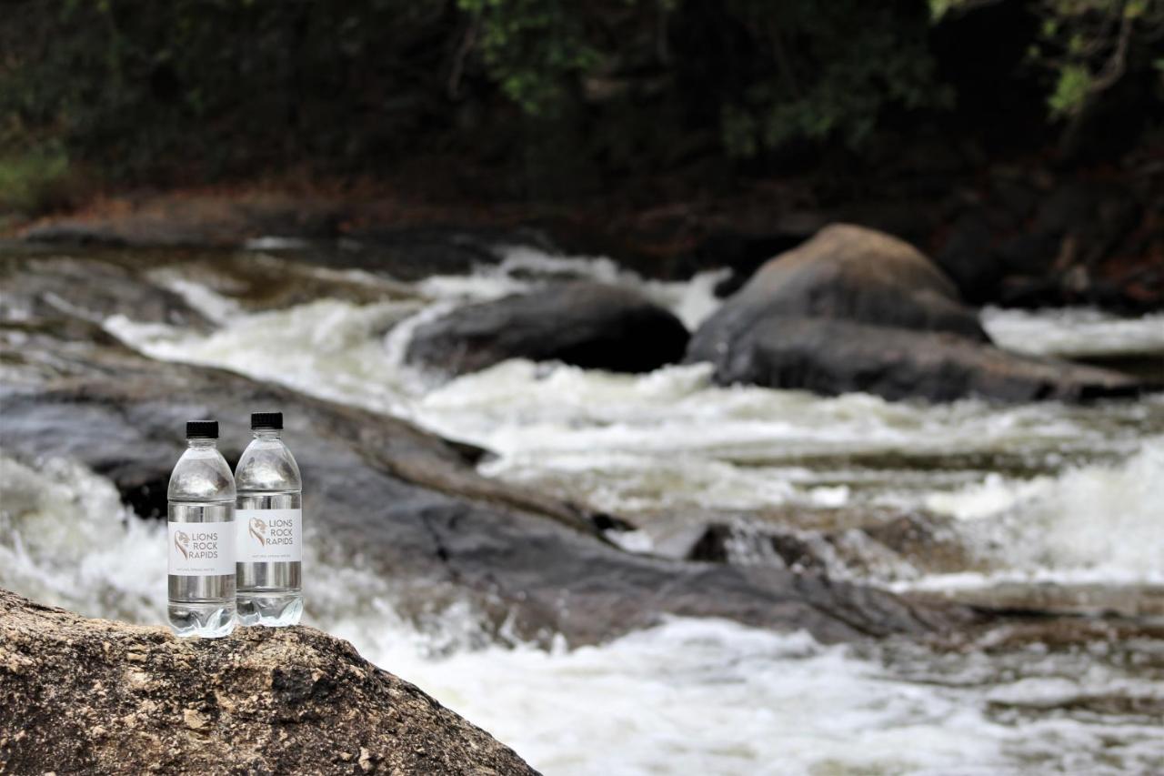 Lions Rock Rapids - Luxury Tented Camp Hazyview Eksteriør bilde