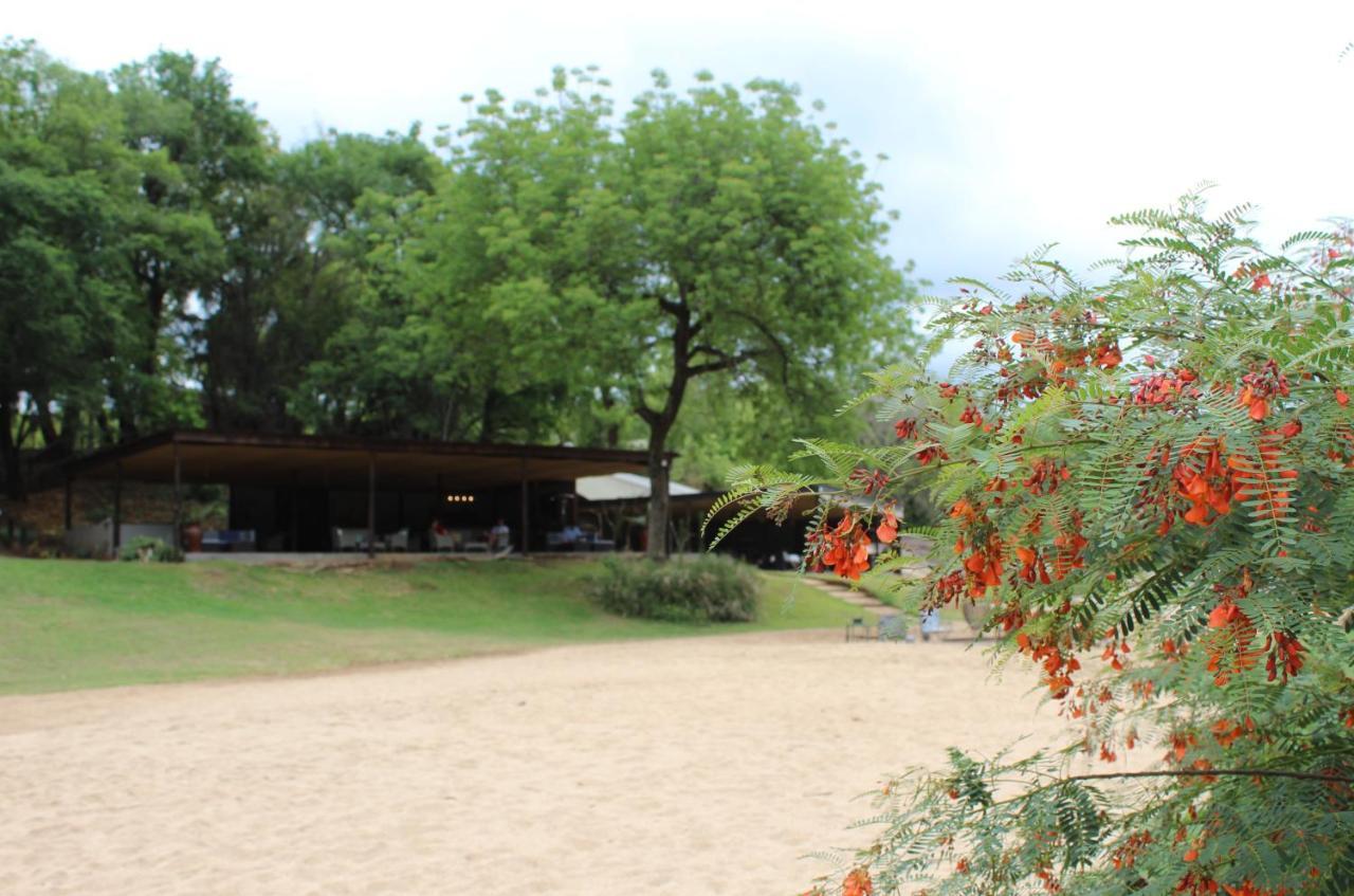 Lions Rock Rapids - Luxury Tented Camp Hazyview Eksteriør bilde