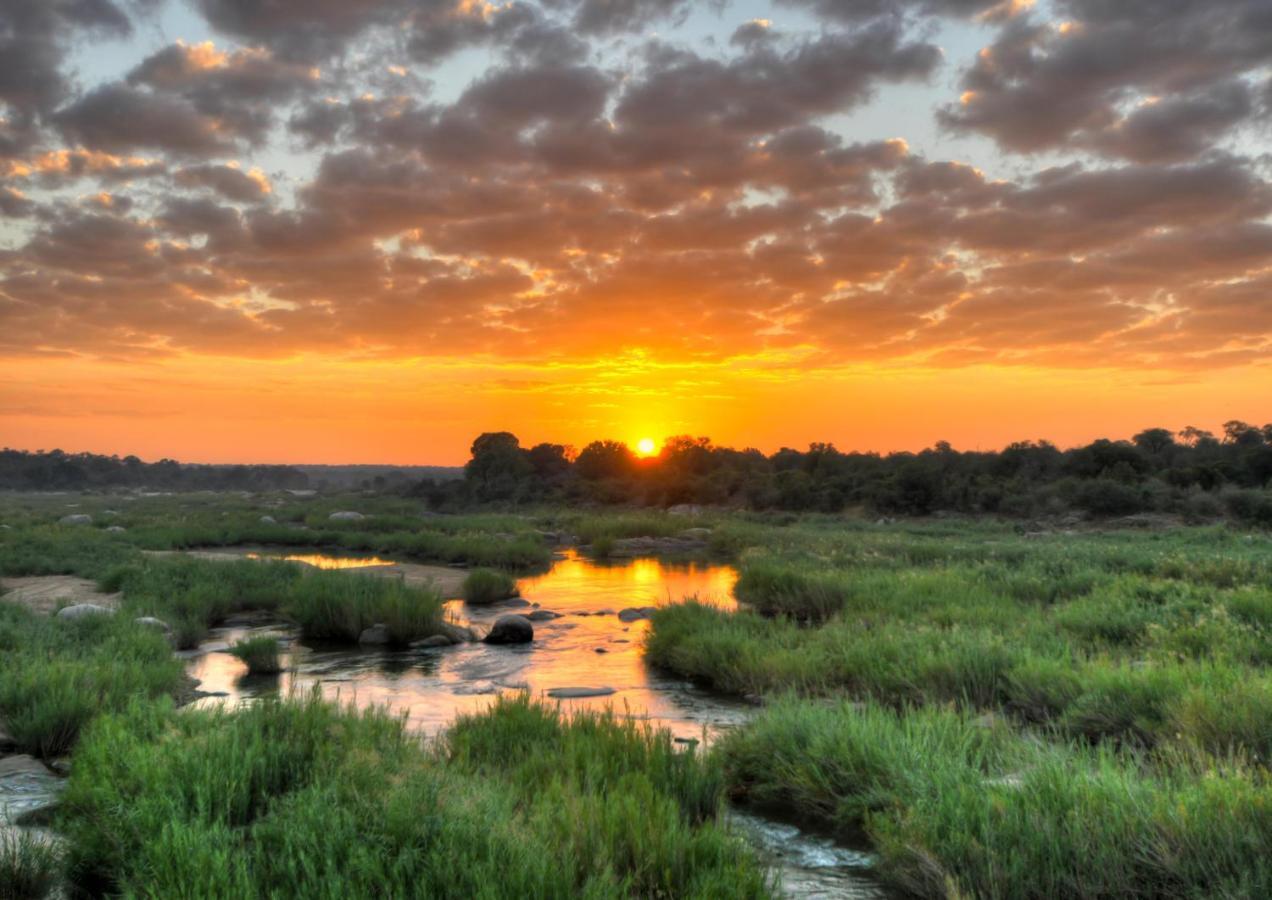 Lions Rock Rapids - Luxury Tented Camp Hazyview Eksteriør bilde