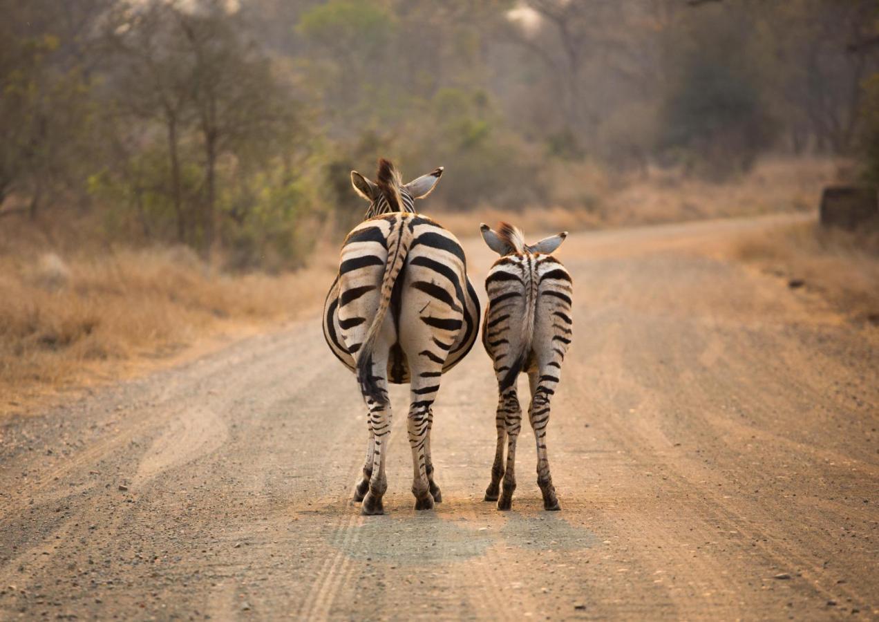 Lions Rock Rapids - Luxury Tented Camp Hazyview Eksteriør bilde