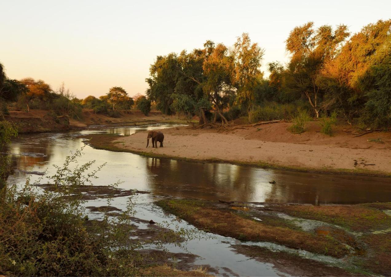Lions Rock Rapids - Luxury Tented Camp Hazyview Eksteriør bilde
