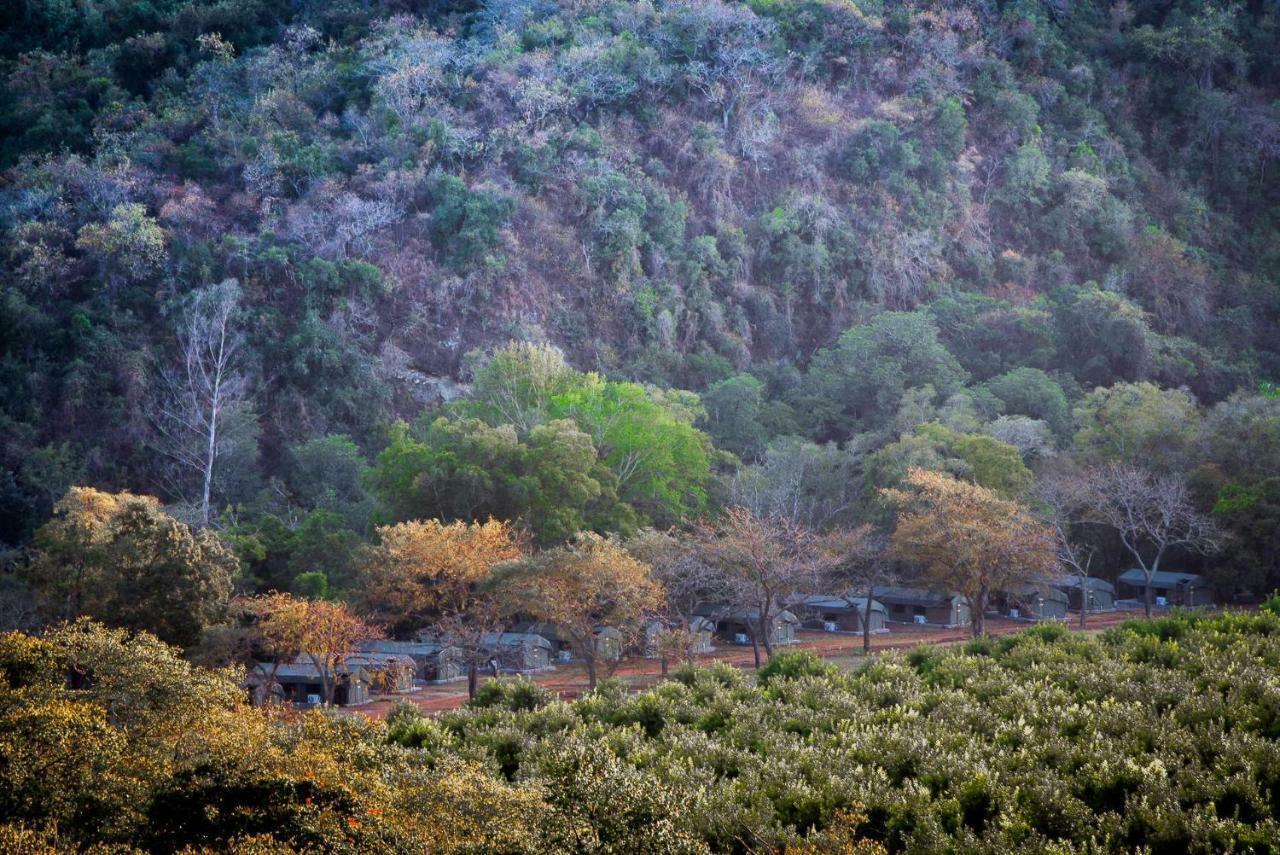 Lions Rock Rapids - Luxury Tented Camp Hazyview Eksteriør bilde